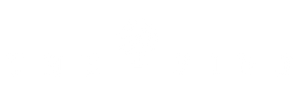 The Find